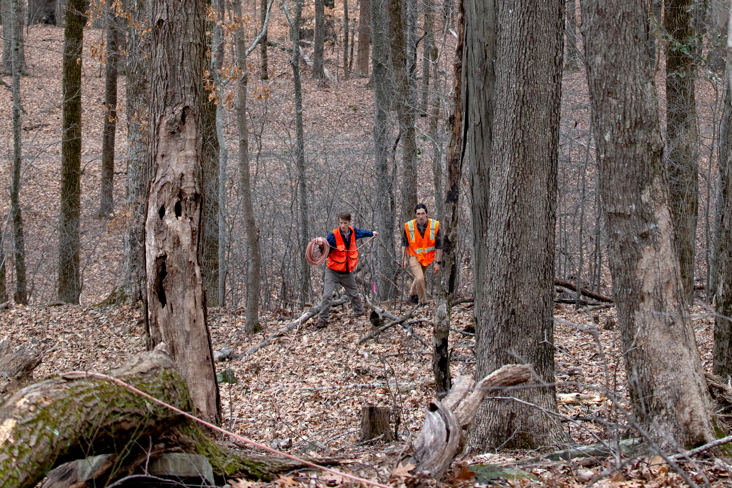 The Paint Rock Forest Research Center’s Nathan Paris and Gabriel Sullivan-Brugger rope off a census block to map tree locations in the Alabama valley. Credit: Beth Maynor Finch