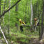 Fuels management specialists for the Chequamegon-Nicolet Nation Forest move a downed tree to open a path for vehicles on May 29 in Wisconsin. Credit: Eric A. Britton/USDA Forest Service