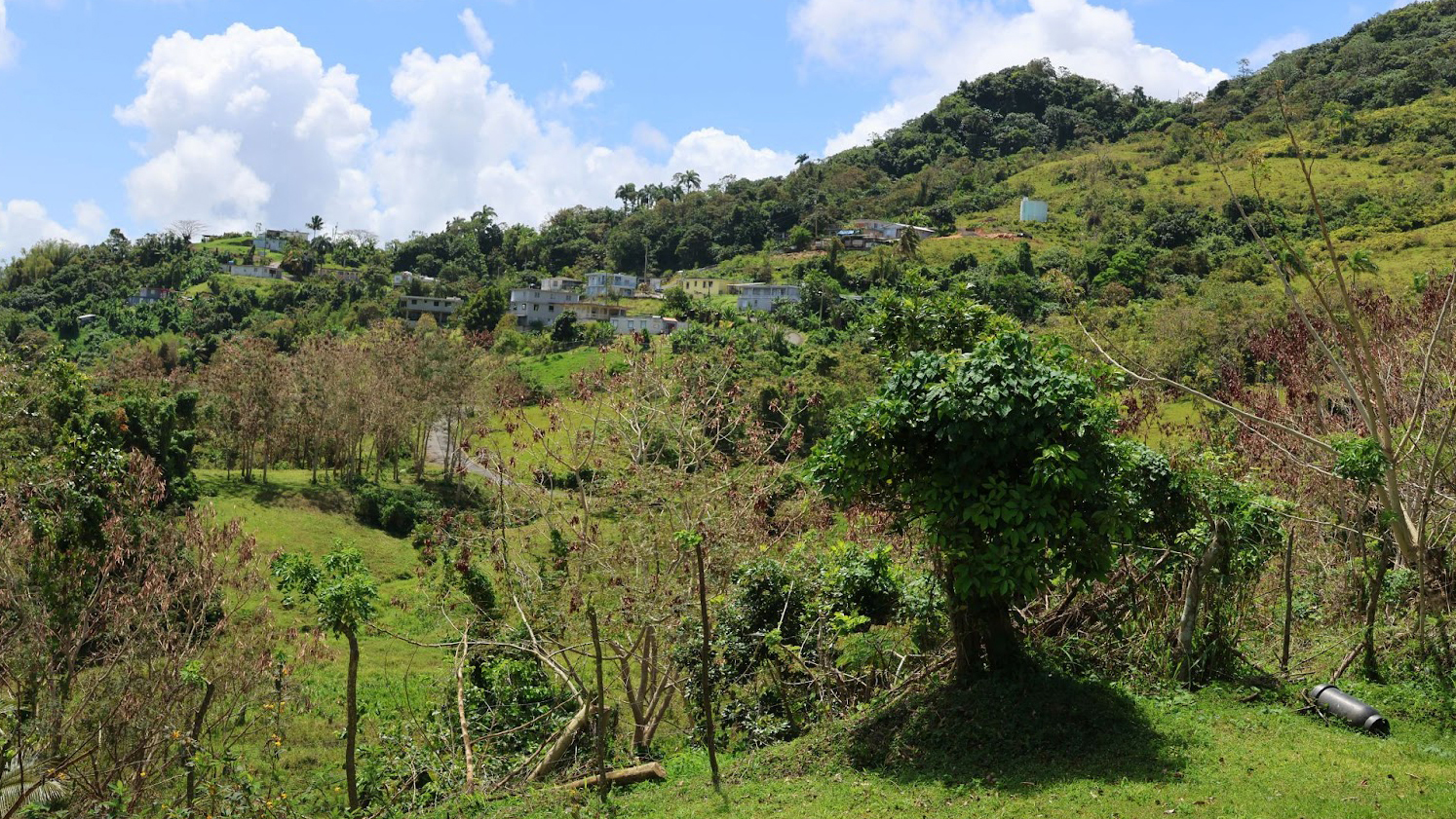 Miriam Matos Díaz’s house is located in the center of Caguas, with views of the surrounding hills and houses in the distance. When Hurricane Maria struck Puerto Rico in September 2017, Caguas was in the eye of the storm. Credit: Sarah Mattalian