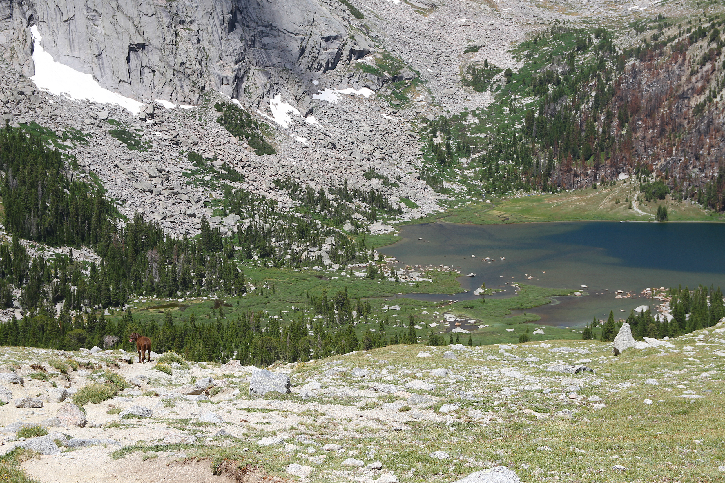 The south and west reaches of Lonesome Lake are visibly shallow in this July 2025 photo taken while descending from Jackass Pass. Long reputed to have quality issues related to human waste, the Shoshone National Forest lake is being examined for an E. coli impairment after regulators initially detected fecal bacteria levels several hundred times more than is believed to be safe. Credit: Mike Koshmrl/WyoFile
