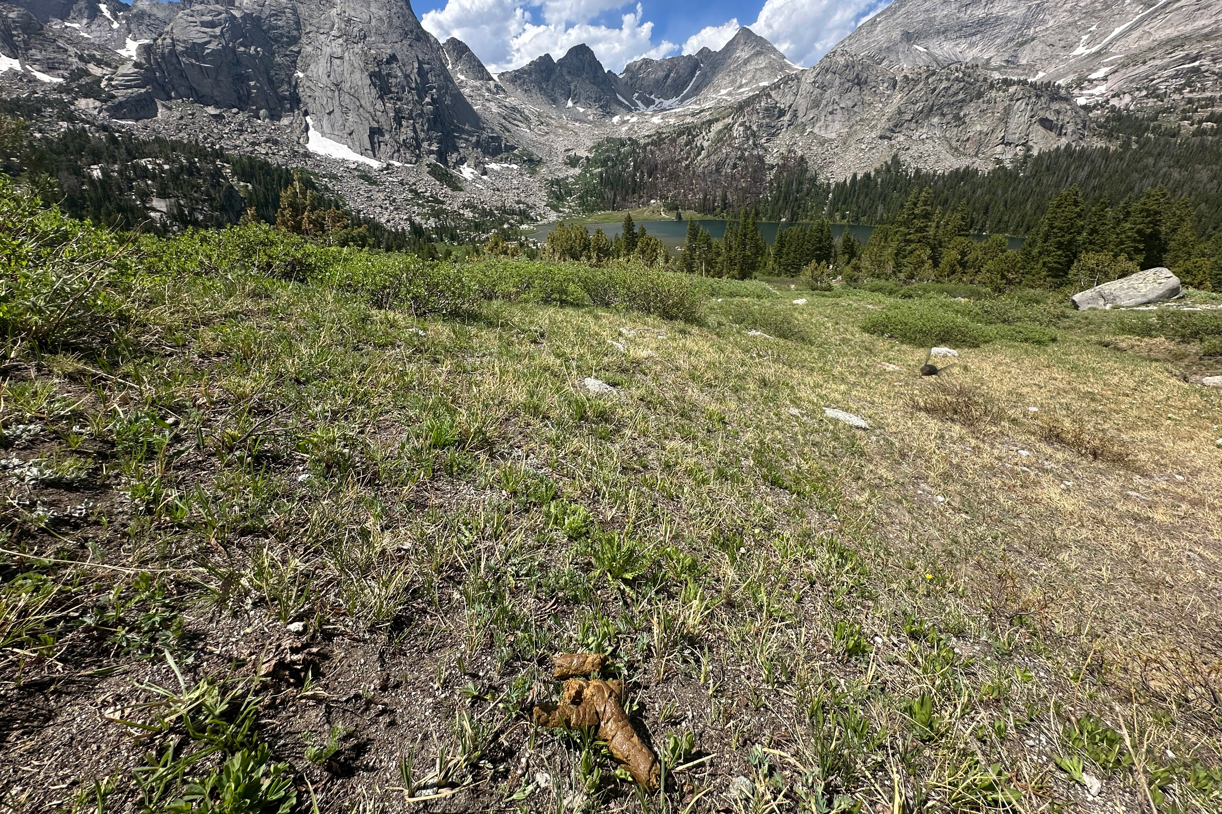 Dogs are permitted and regularly accompany human hikers into places like the Cirque of the Towers, but the domestic animals leave behind waste that may be contributing to water quality issues. Credit: Mike Koshmrl/WyoFile