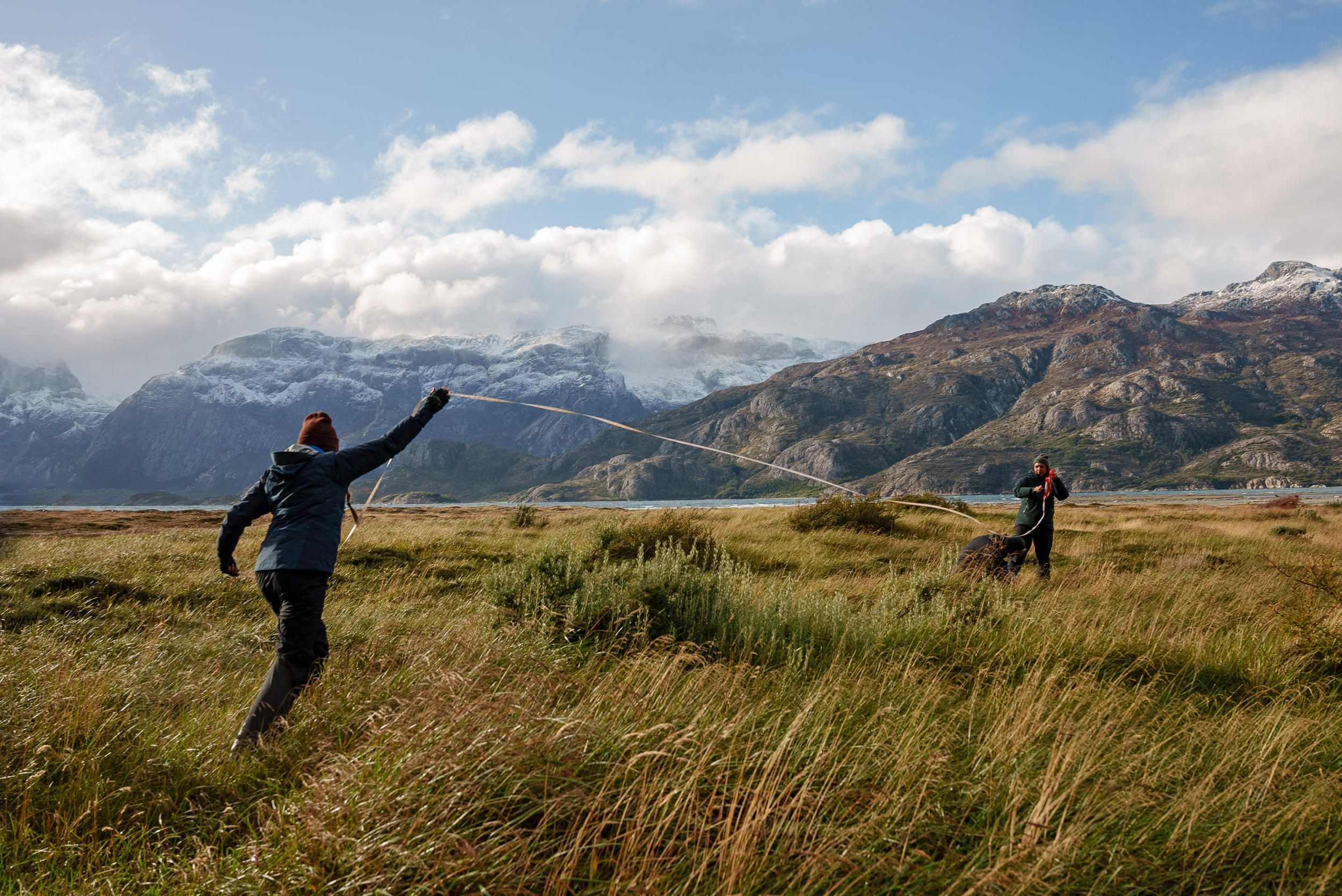 Researchers with SPUN gather mycorrhizal fungal samples in Tierra del Fuego, Chile. Credit: Mateo Barrenengoa/SPUN