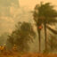 Spanish firefighters stand next to a burning tree during a wildfire in Concepcion, Boliva, on Sept. 24, 2024. Credit: Rodrigo Urzagasti/AFP via Getty Images
