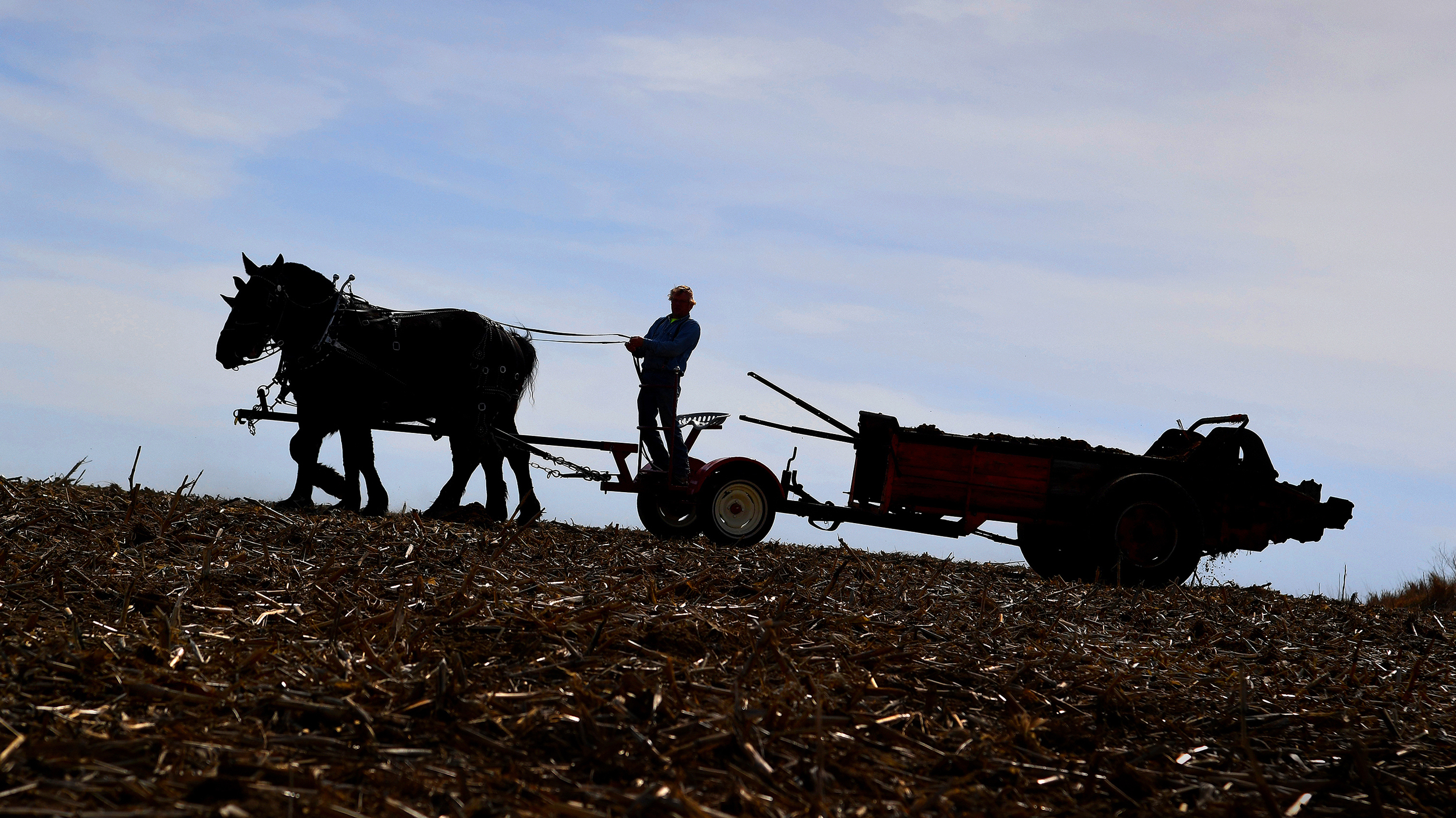 A farmer uses draft horses to spread manure on his property near Kiron, Iowa, in April 2017. Credit: Michael S. Williamson/The Washington Post via Getty Images