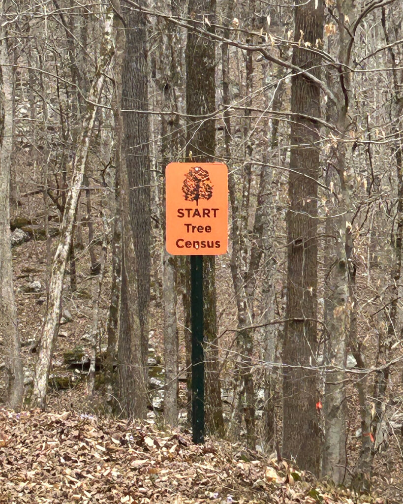This is where it starts: The tree census is three-quarters of a mile long, half a mile wide, and includes almost 90,000 stems, tagged, identified, mapped, measured and followed for 50 years. Credit: Lanier Isom/Inside Climate News