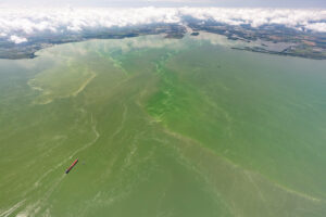 An aerial view of a Lake Erie harmful algal bloom in August 2019. Credit: Zachary Haslick/Aerial Associates Photography for NOAA Great Lakes Environmental Research Laboratory