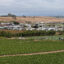Strawberry fields stretch for miles in all directions in Monterey County. Legacy pesticides and fertilizers used to grow the berries has made the tap water unfit to drink for local residents. Credit: Liza Gross/Inside Climate News