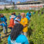 Rodney Santiago, a compost educator coordinator, leads a team of HOPE members through Concrete Plant Park in the South Bronx. Credit: HOPE