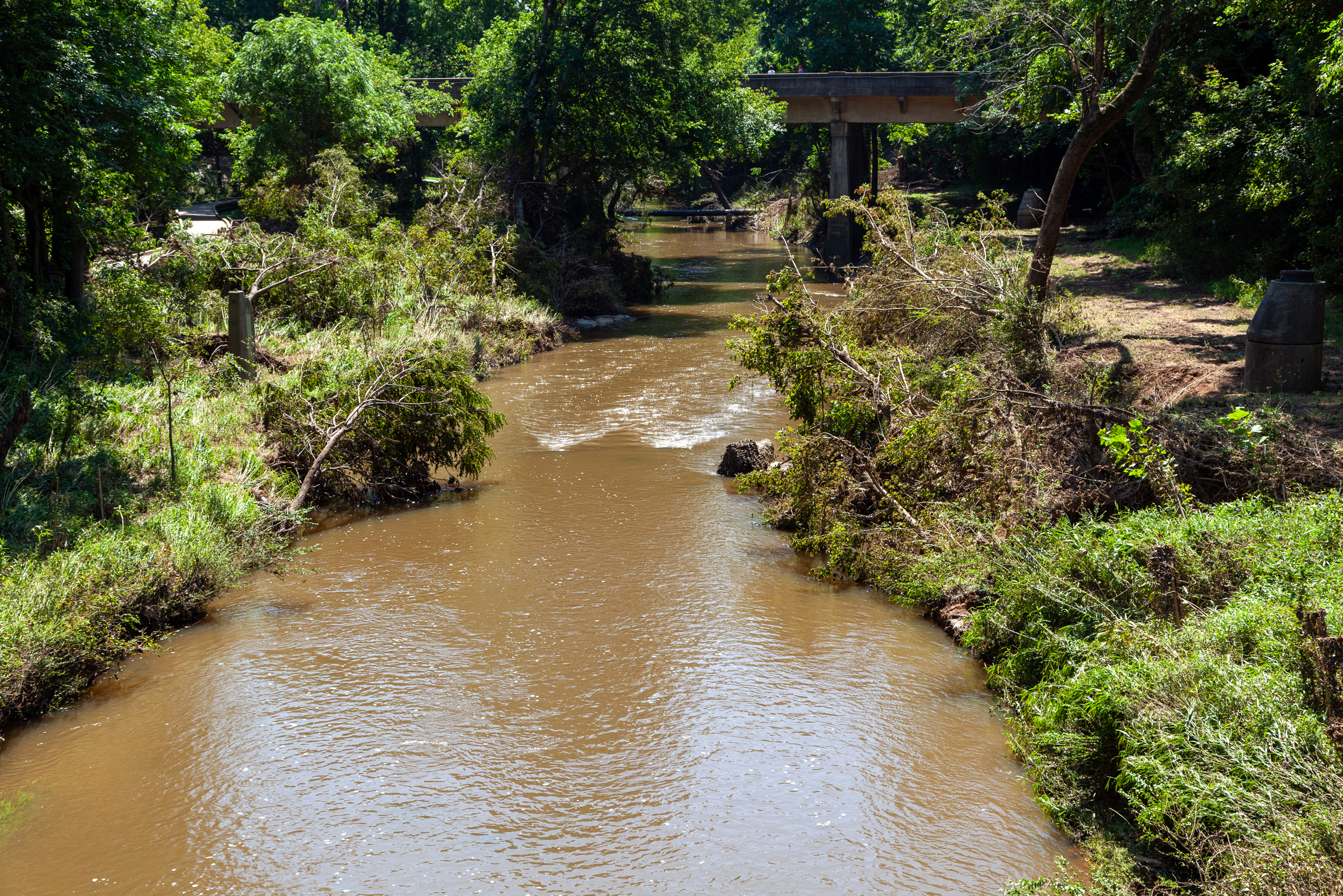 The Eno River runs through west Hillsborough and along the River Walk downtown. Credit: Lisa Sorg/Inside Climate News