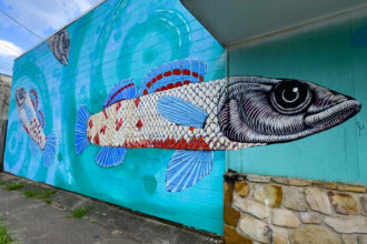 The watercress darter, an endangered fish found only in central Alabama, could be put at risk by a proposed data center. Credit: Lee Hedgepeth/Inside Climate News