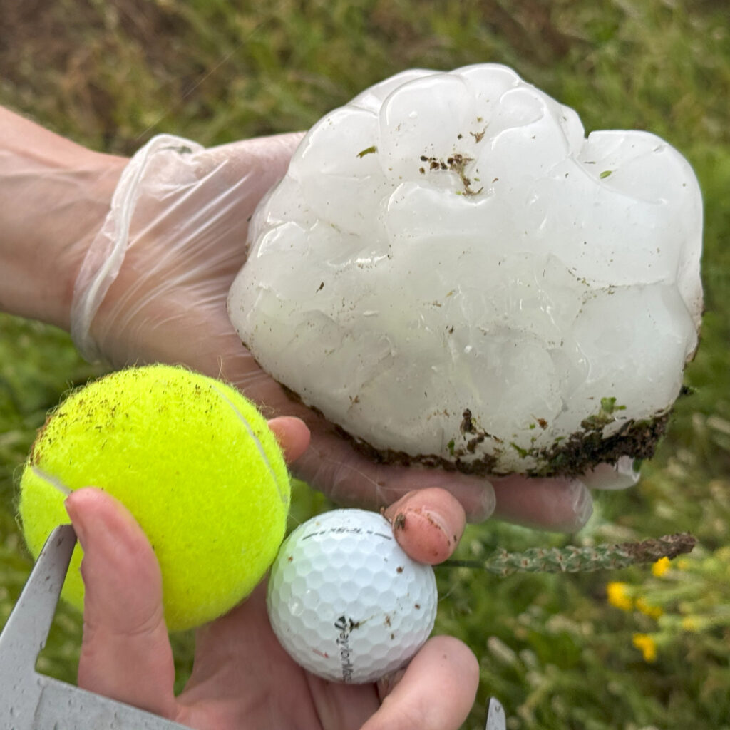 Researchers collected and measured hail from storms in the Great Plains this year. Credit: National Science Foundation ICECHIP