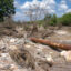 A landscape in Zambia 12 weeks after a Chinese copper mine spilled toxic waste laced with heavy metals, including lead, arsenic and uranium. Credit: Katie Surma/Inside Climate News