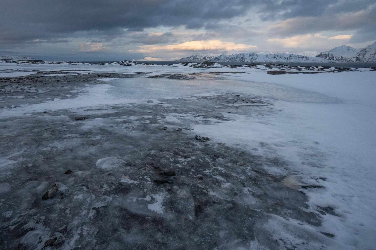Researchers on Svalbard say rising Arctic temperatures have led to reduced sea ice cover and rapidly thawing permafrost. These conditions are part of a feedback loop that makes the region especially vulnerable to climate change. Credit: Courtesy of James Bradley
