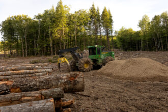 A patch of trees is clear-cut for a logging operation in the White Mountain National Forest outside of Stow, Maine. Credit: Andrew Lichtenstein/Corbis via Getty Images