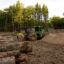 A patch of trees is clear-cut for a logging operation in the White Mountain National Forest outside of Stow, Maine. Credit: Andrew Lichtenstein/Corbis via Getty Images