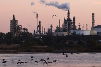Birds fly near the Phillips 66 refinery in L.A.’s Wilmington neighborhood. The facility is slated to close by the end of the year. Credit: Mario Tama/Getty Images