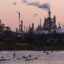 Birds fly near the Phillips 66 refinery in L.A.’s Wilmington neighborhood. The facility is slated to close by the end of the year. Credit: Mario Tama/Getty Images