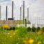 The Hugh L. Spurlock Generating Station, a coal-fired power plant within PJM’s territory, is seen on June 12 in Maysville, Ky. Credit: Jeff Swensen/Getty Images