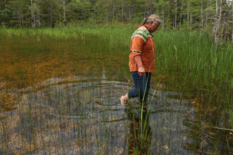 Betty Osceola, a member of the Miccosukee Tribe of Indians of Florida, walks in the Everglades a few yards from the front entrance to Alligator Alcatraz on July 10. Credit: Joe Raedle/Getty Images