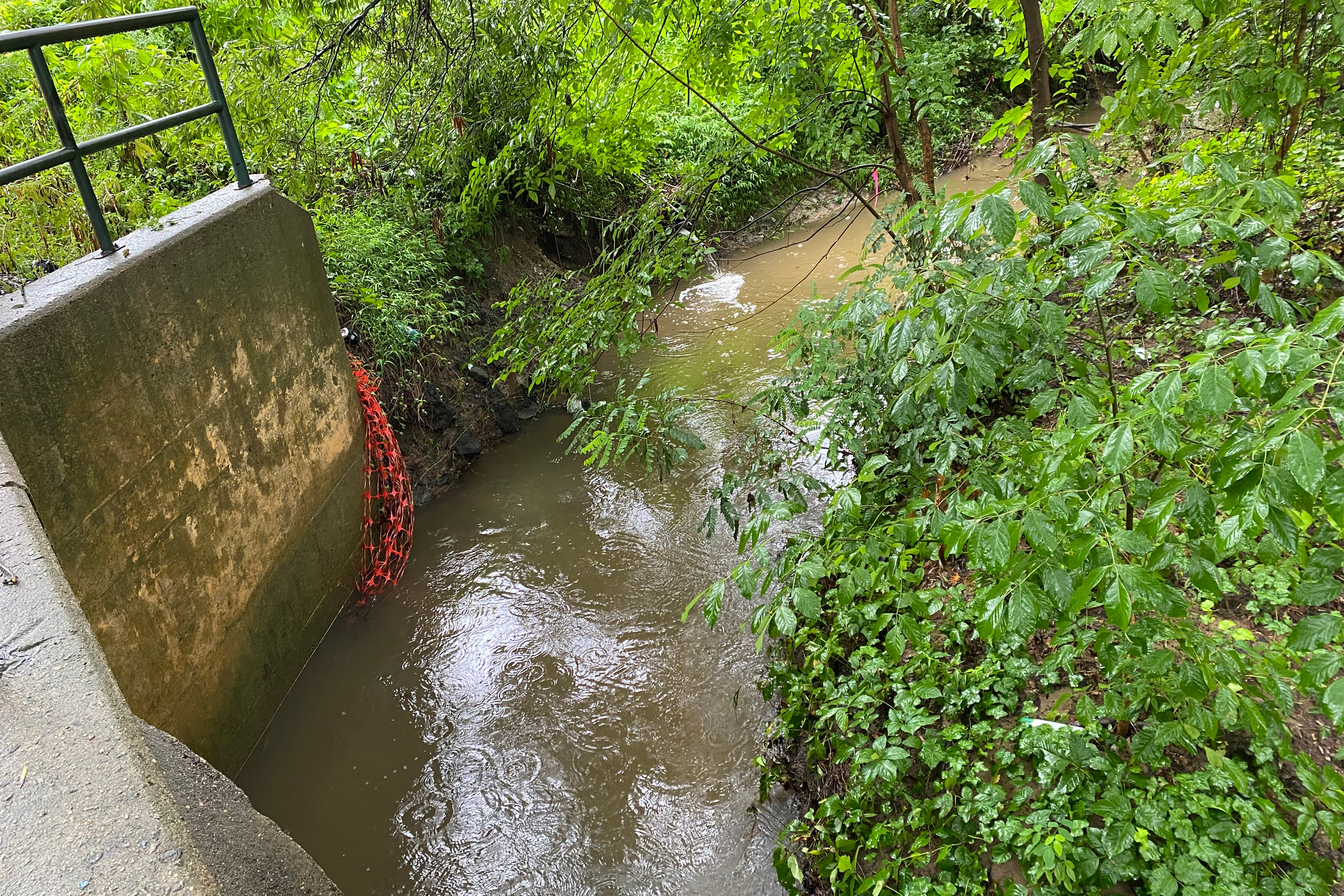 Downstream of Brenntag’s Durham plant, lead has been detected in the sediment of a creek that flows through Burton Park. Credit: Lisa Sorg/Inside Climate News