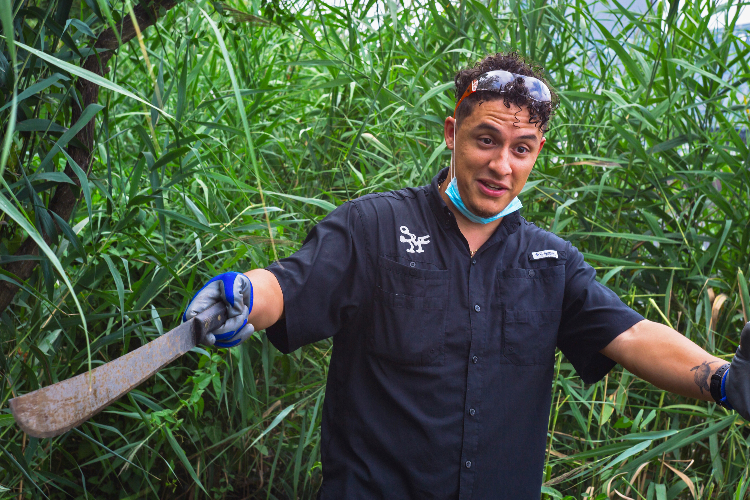 With machete in hand, Isiah Cruz clears a patch of invasive common reed along the Passaic River’s edge. Credit: Anna Mattson/Inside Climate News