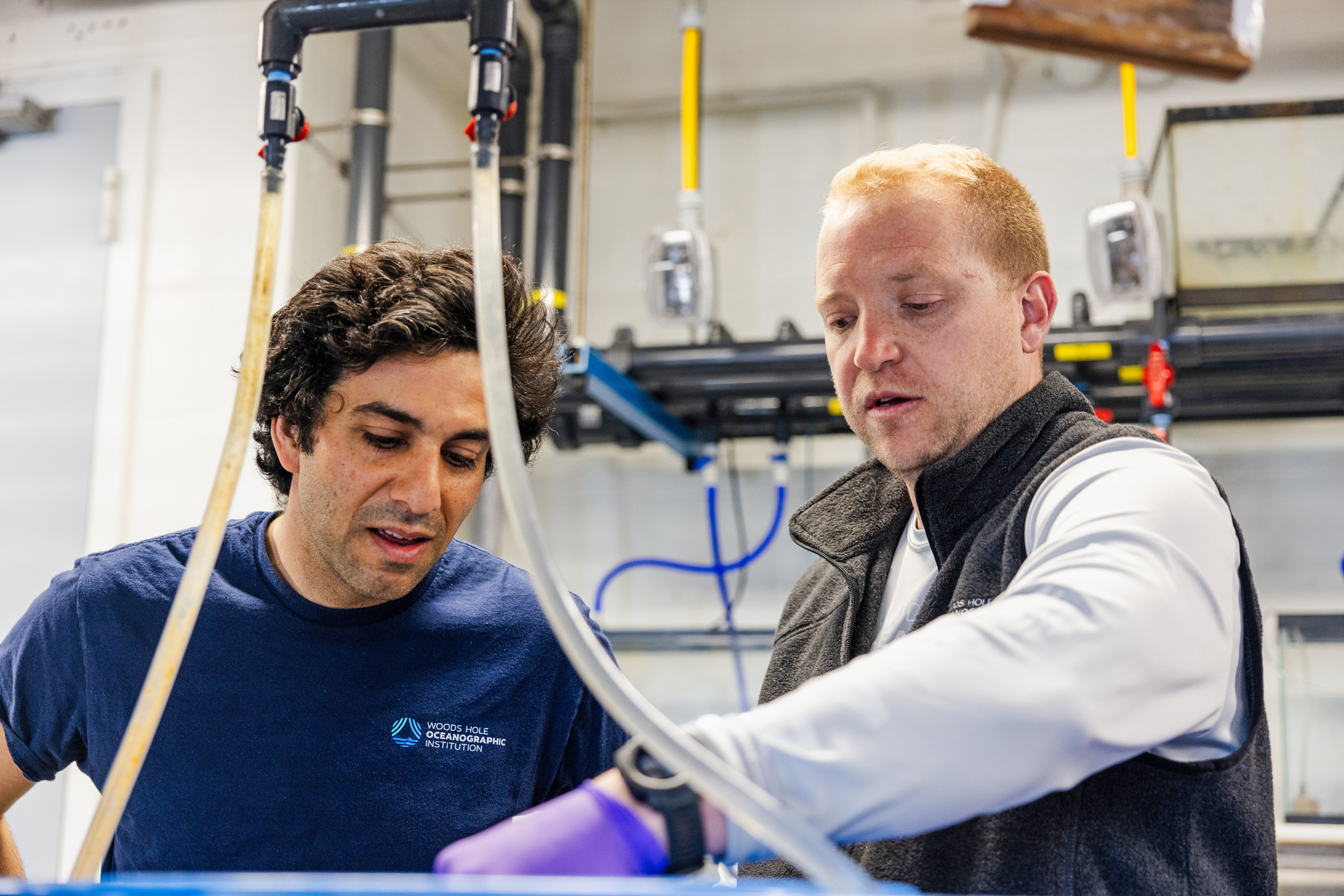 Woods Hole researchers, Adam Subhas (left) and Chris Murray, conducted a series of lab experiments earlier this year to test the impact of an alkaline substance, known as sodium hydroxide, on copepods in the Gulf of Maine. Credit: Daniel Hentz/Woods Hole Oceanographic Institution