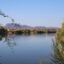 The Colorado River flows near Parker, Ariz. The Colorado River Indian Tribes want to give the river the same legal rights as a person, taking millennia of cultural values and putting them into law. Credit: Alex Hager/KUNC