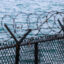 A Canada goose swims in Lake Michigan next to the Chicago Area Confined Disposal Facility in Chicago’s Southeast Side. Credit: Christiana Freitag/Inside Climate News