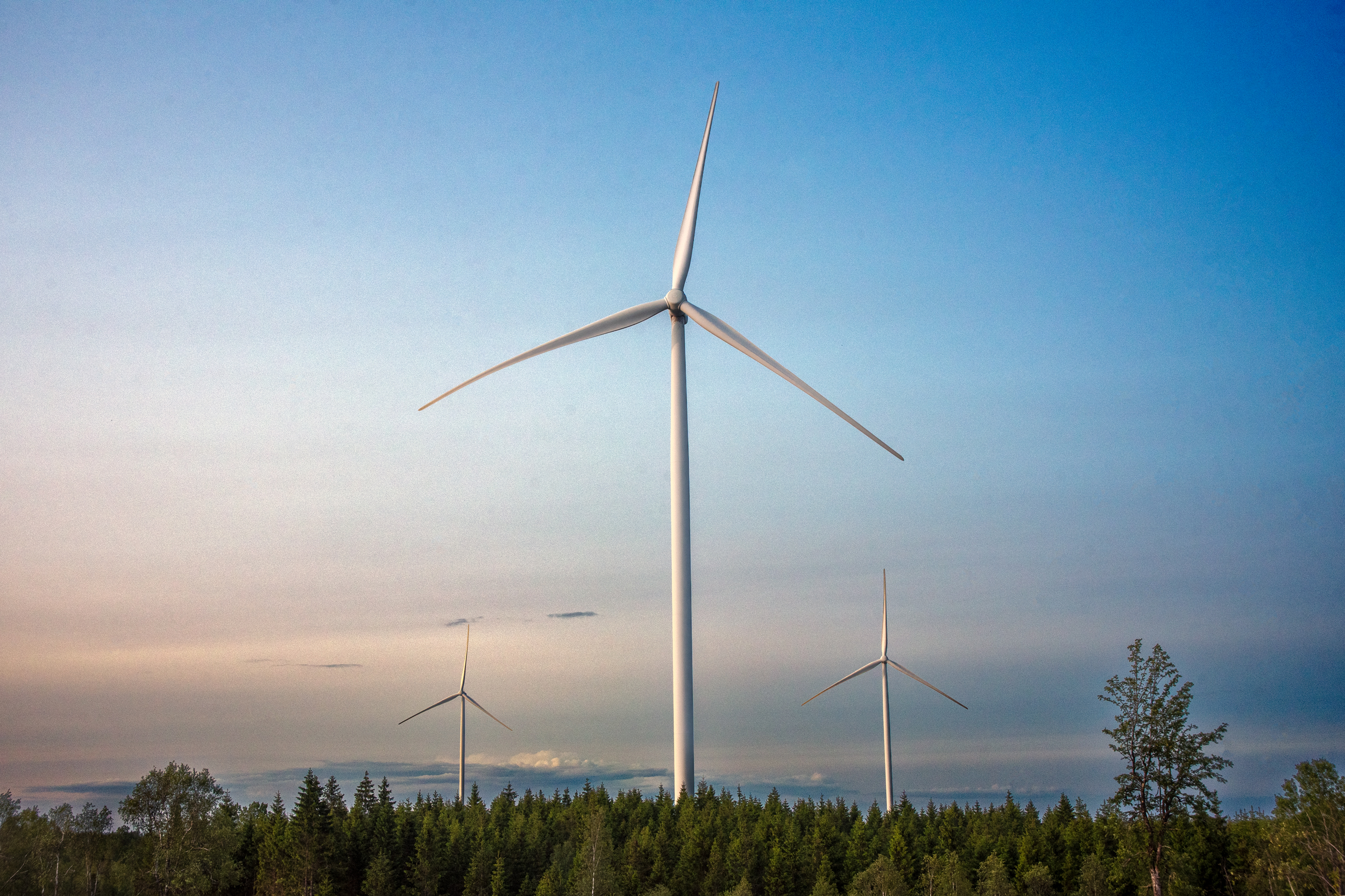Wind power makes up 18-20 percent of Sweden's electricity, but many projects are now stopped by municipal or military vetoes, and decreased government subsidies. Credit: Marcus Haraldsson