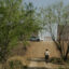 The border wall is seen in the Lower Rio Grande Valley National Wildlife Refuge. Credit: Steve Hillebrand/USFWS