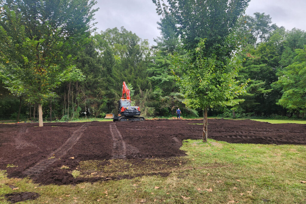 Plans Bloom for a Microforest in Princeton as New Jersey Residents Tackle Rising Heat