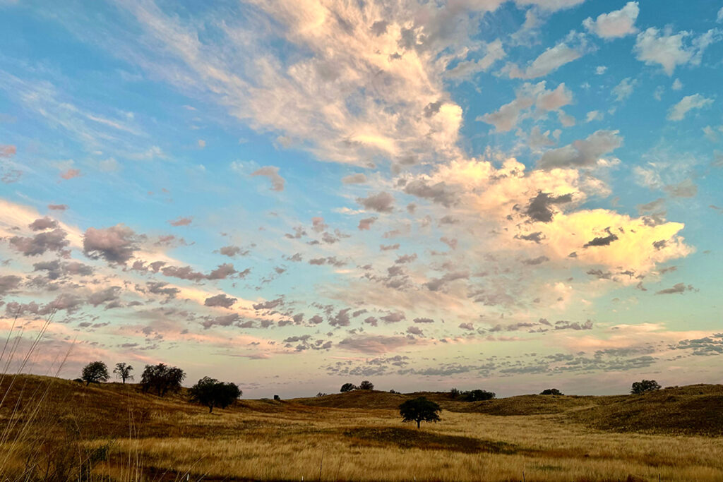 This Aug. 7 image shows clouds over San Rafael Ranch near the international border in southern Arizona, home to a vast biodiversity of fauna that will be cut off from Mexico by a border wall that the Trump administration intends to start building later this month. Credit: Ross Humphreys