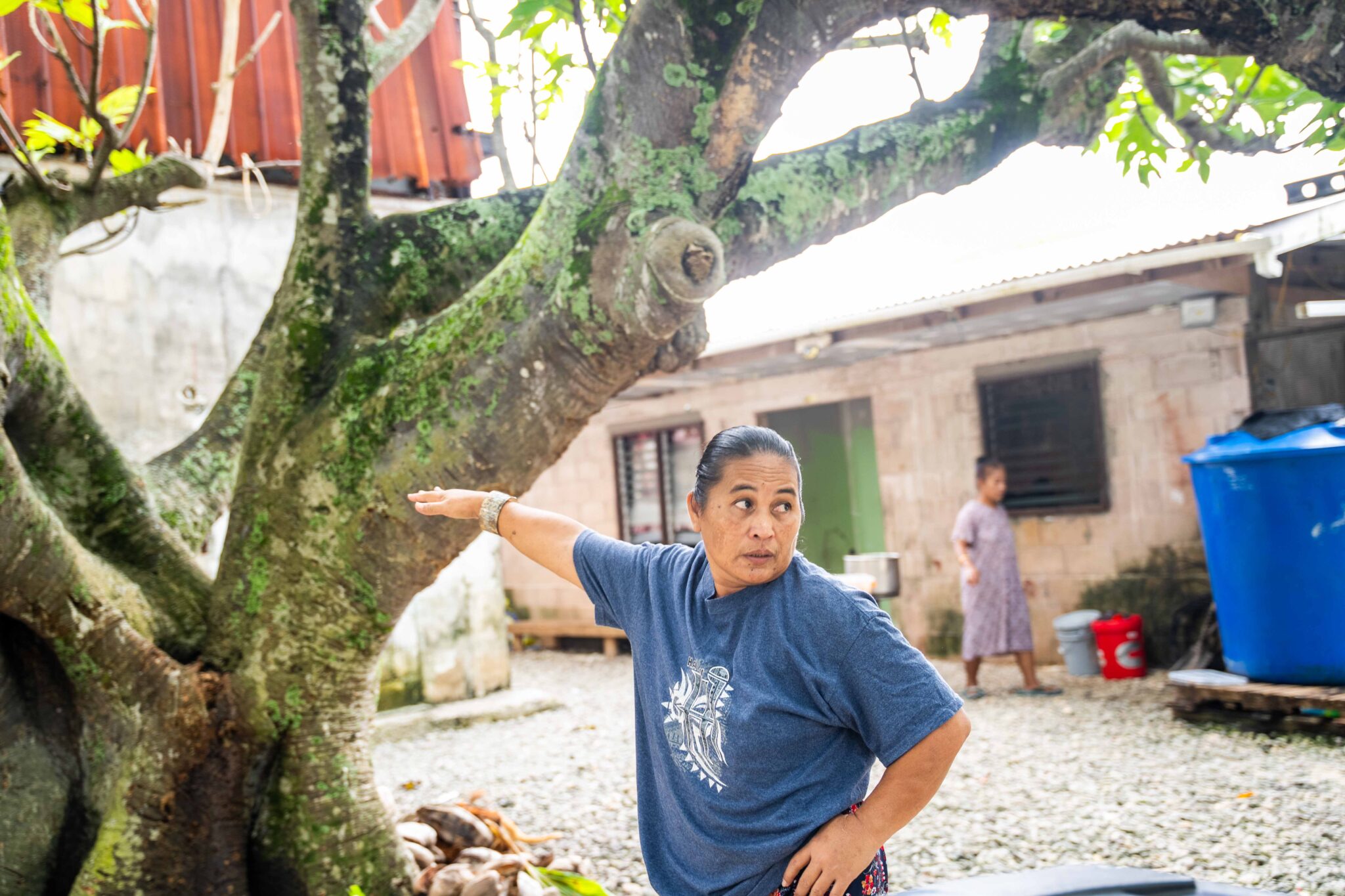 Malo B-Lakien has known this breadfruit tree for decades, ever since it was barely up to her shoulders. The fruit has sustained not just her family but the community. Credit: Chewy Lin/Civil Beat