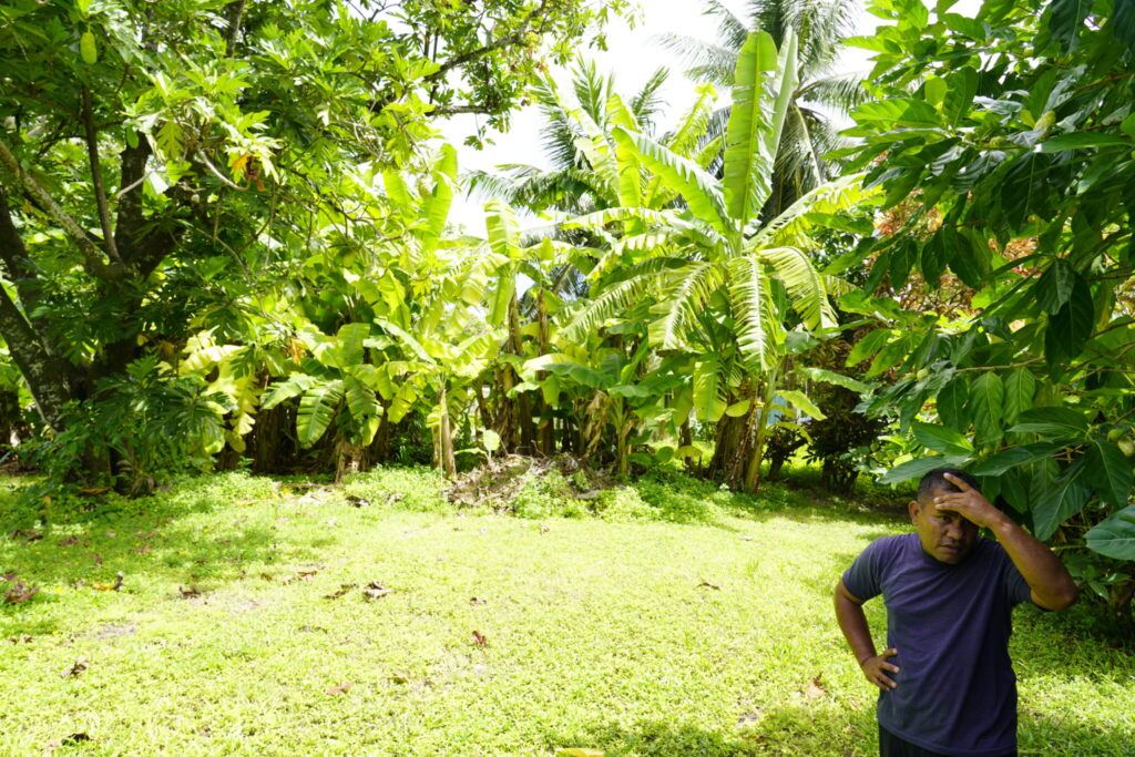 Randon Jother stands in his front yard, surrounded by a hedge of noni trees and banana plants. His breadfruit tree, to the left, has been suffering for years. Credit: Thomas Heaton/Civil Beat
