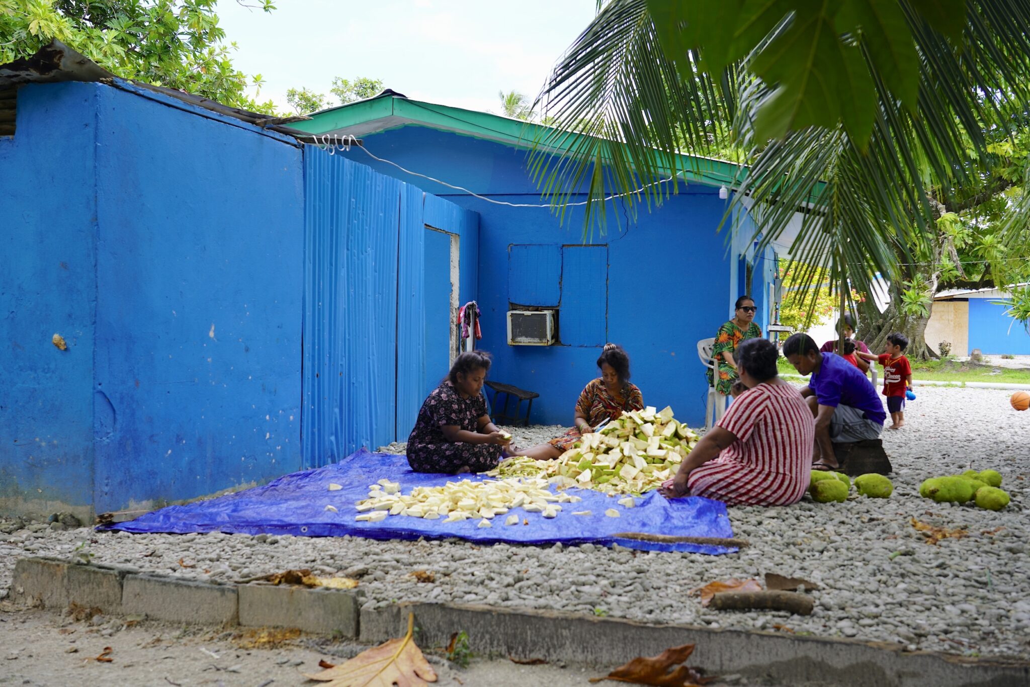 Chopping, peeling and coring breadfruit to make bwiro has long been a tried-and-true preservation method in the Marshall Islands, crucial to helping islanders survive between harvests. Today, it’s more of a special occasion food, especially for import-reliant Majuro residents. Credit: Thomas Heaton/Civil Beat