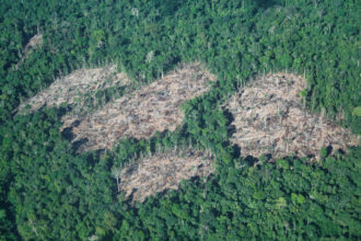 An illegal deforestation camp is seen on Isconahua indigenous land in Peru’s Amazon region. Credit: Courtesy of ORPIO