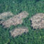 An illegal deforestation camp is seen on Isconahua indigenous land in Peru’s Amazon region. Credit: Courtesy of ORPIO