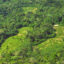 A camp and crops are seen in the proposed Yavarí Mirim Indigenous Reserve region in 2021. Credit: Courtesy of ORPIO