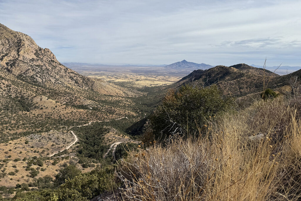 This image taken on Nov. 30, 2024, from Montezuma's Pass in southern Arizona's Coronado National Memorial shows the sprawling San Rafael Valley, home to a vast biodiversity of fauna including black bears and the occasional jaguar or ocelot that will be cut off from Mexico by a border wall that the Trump administration intends to start building later this August. Credit: Anita Snow