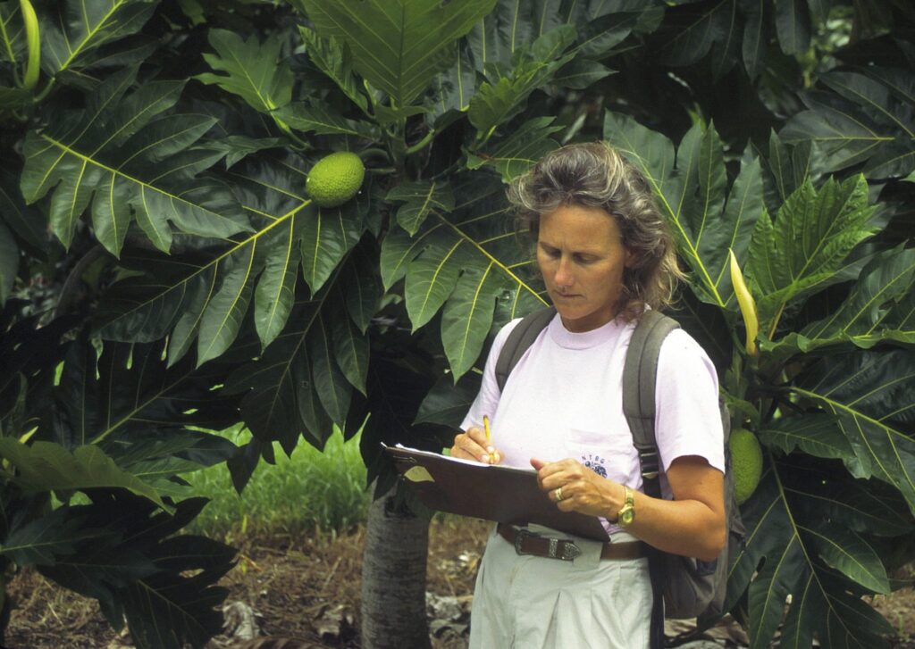 Diane Ragone, founding director of the Breadfruit Institute, spent years exploring the Pacific and gathering data on breadfruit. Credit: Courtesy of the Breadfruit Institute