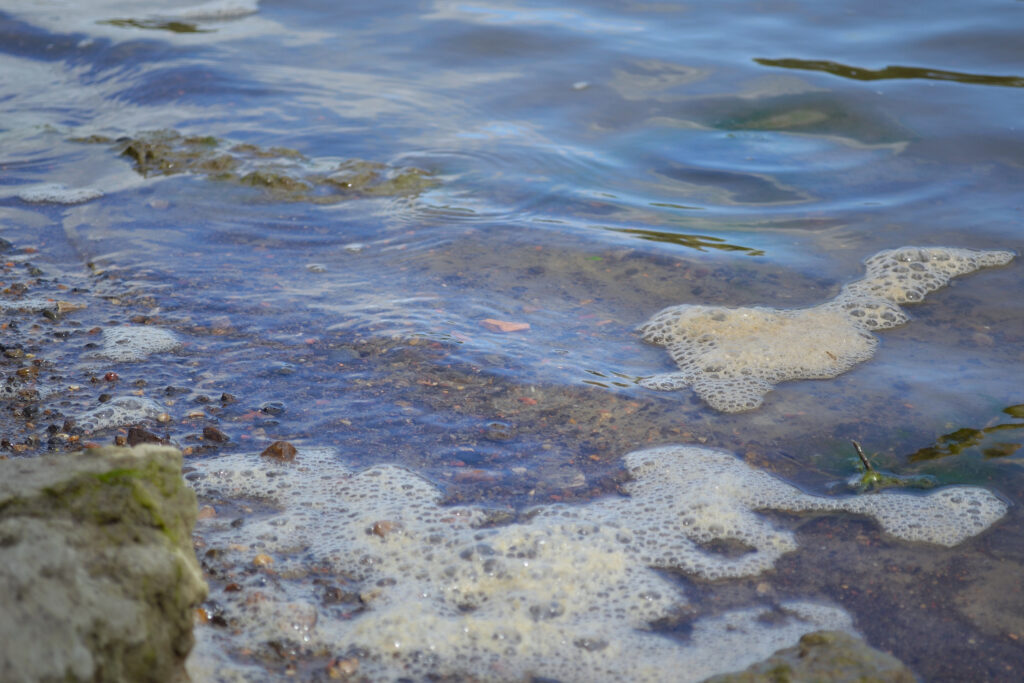 Water runs along the banks of the Des Moines River. Credit: Anika Jane Beamer/Inside Climate News