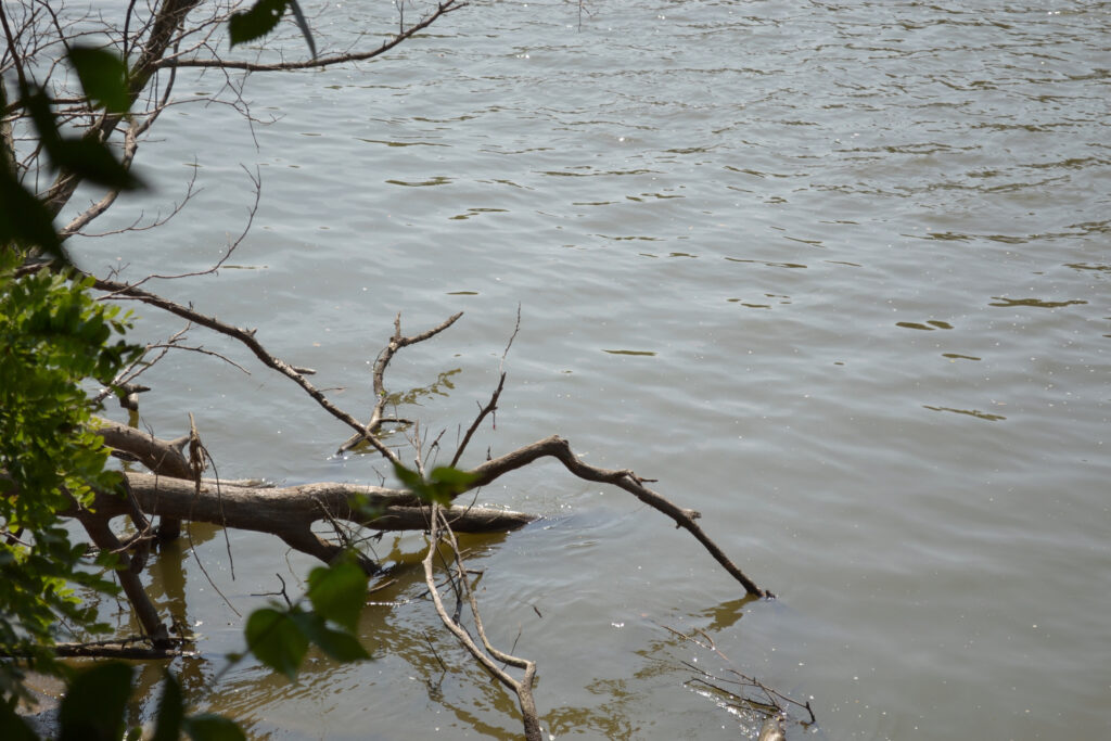 Water runs along the banks of the Des Moines River. Credit: Anika Jane Beamer/Inside Climate News
