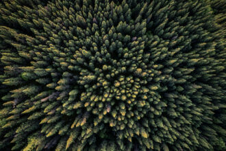An aerial view shows spruce trees of the Canadian boreal forest west of Baie-Comeau, Quebec. Credit: Ed Jonesed Jones/AFP via Getty Images