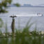 A view of the Chesapeake Bay’s Brewerton Chanel in Pasadena, Md. Credit: Tom Brenner/The Washington Post via Getty Images