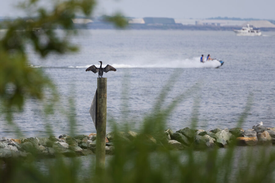 A view of the Chesapeake Bay’s Brewerton Chanel in Pasadena, Md. Credit: Tom Brenner/The Washington Post via Getty Images