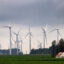 Wind turbines tower over a rural landscape on July 5 near Pomeroy, Iowa. Credit: Scott Olson/Getty Images