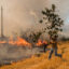 Local residents work to prevent a wildfire from reaching nearby houses on Aug. 19 in Vilela Seca, Portugal. Credit: Pedro Pascual Garcia/Anadolu via Getty Images