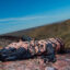 A Gila monster is seen near Redrock, N.M. Credit: Anthony Pawlicki