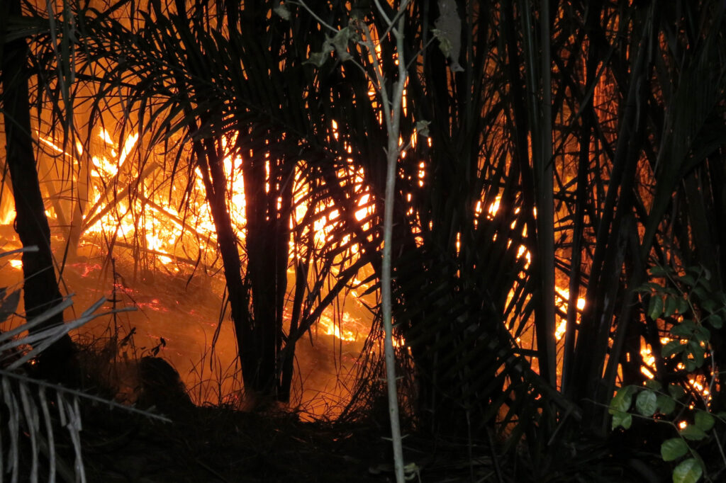 A fire burns in the Amazon rainforest in Marabá, Brazil. Credit: Paula Prist