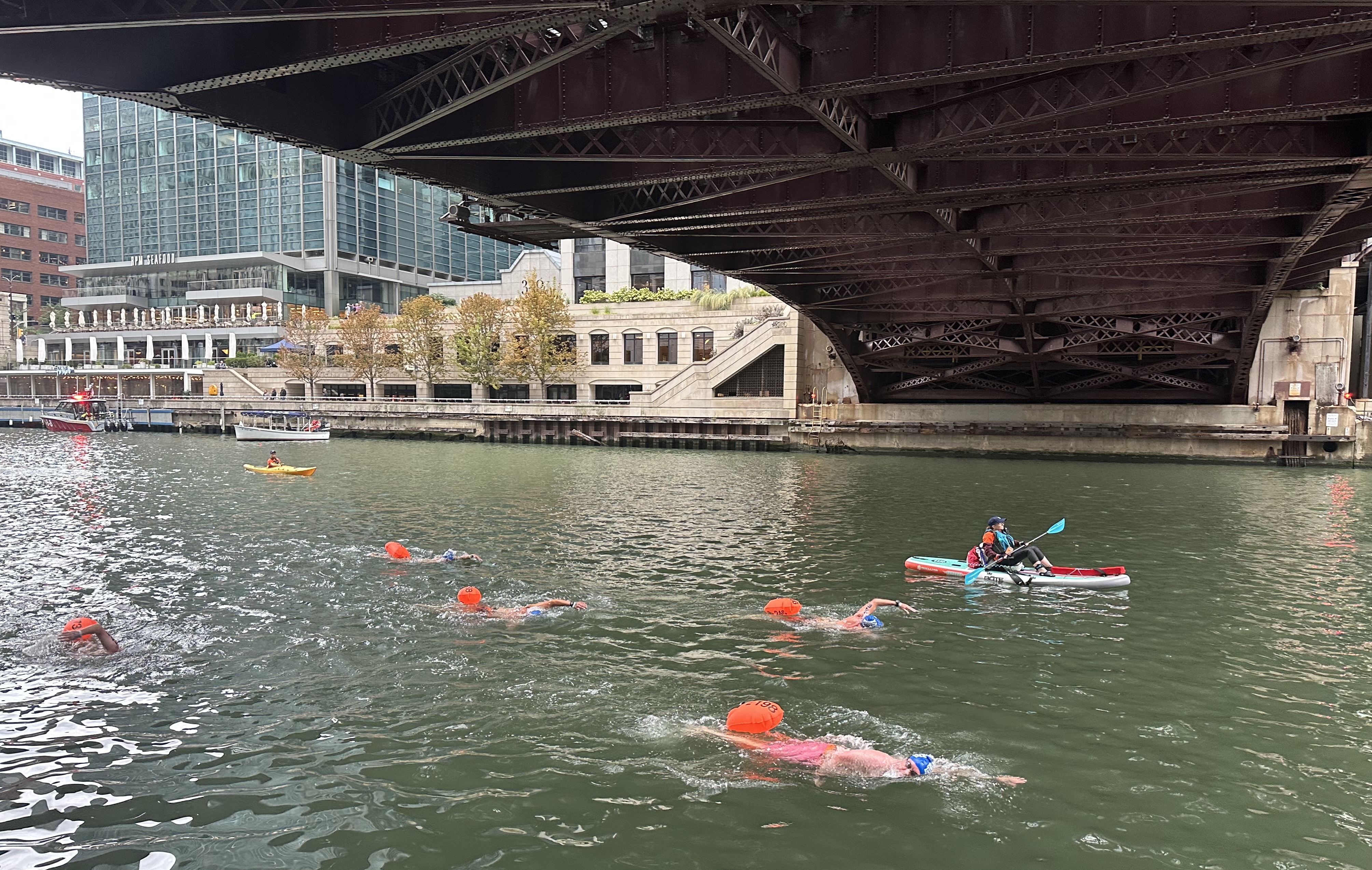 People in blue swim caps and neon orange buoys swim under a bridge in the Chicago River past people in kayaks
